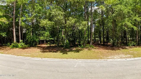 173 Red Berry Drive Wallace NC 28466