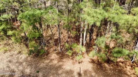 00 Doris Drive Oriental NC 28571