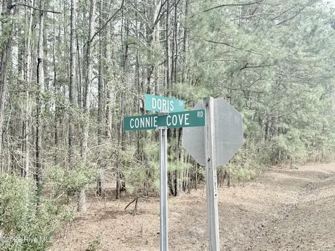 00 Doris Drive Oriental NC 28571