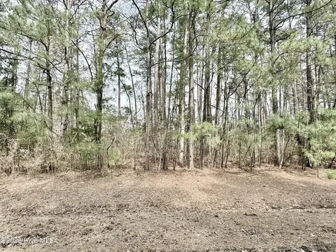 00 Doris Drive Oriental NC 28571