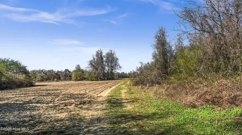 0 Graham Dobson Road Magnolia NC 28453