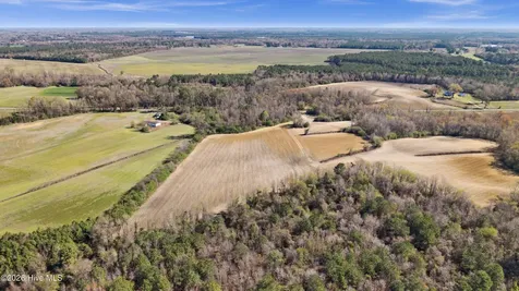 0 Graham Dobson Road Magnolia NC 28453