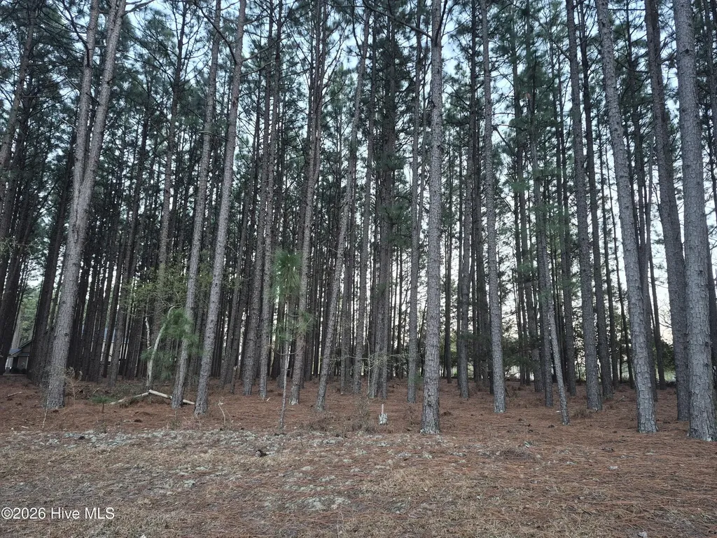 3 Milla Court Jackson Springs NC 27281