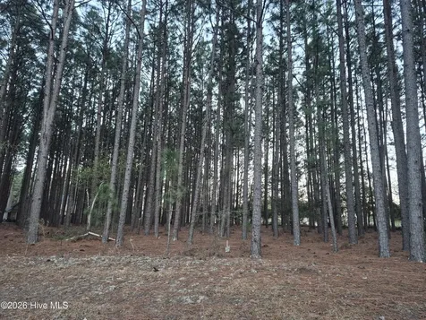 3 Milla Court Jackson Springs NC 27281