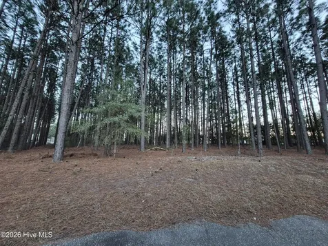 3 Milla Court Jackson Springs NC 27281