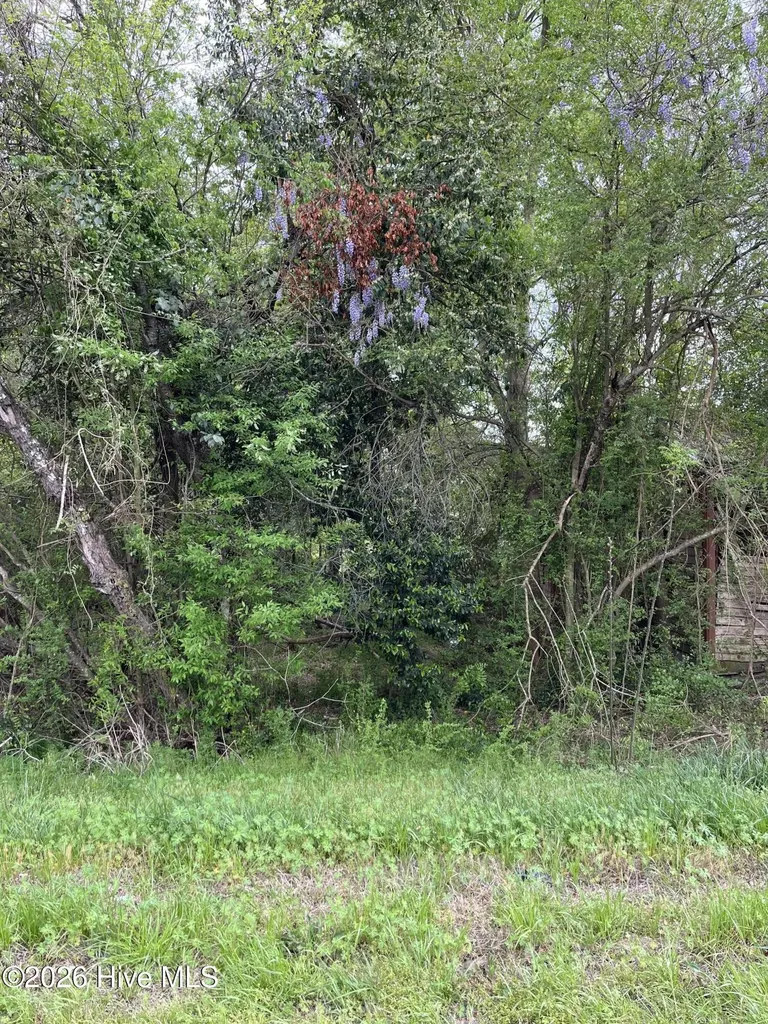 10860 Gibson Road Laurel Hill NC 28351