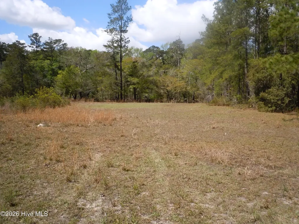 9870 Rivergate Road NW Ash NC 28420