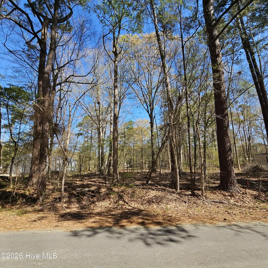 Lot 77 Pirate Cove Way Hertford NC 27944
