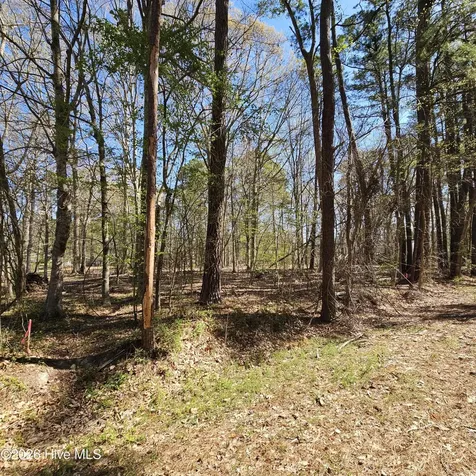 Lot 77 Pirate Cove Way Hertford NC 27944