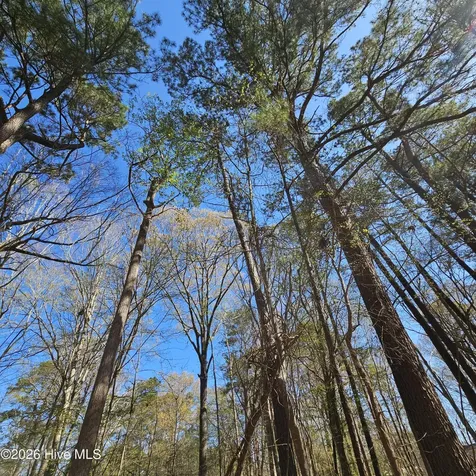 Lot 77 Pirate Cove Way Hertford NC 27944