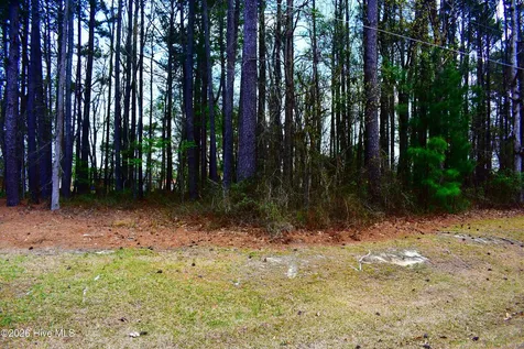 6704 Wood Avenue Saratoga NC 27873