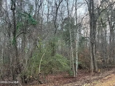0 Sr 1100 Blounts Creek NC 27814