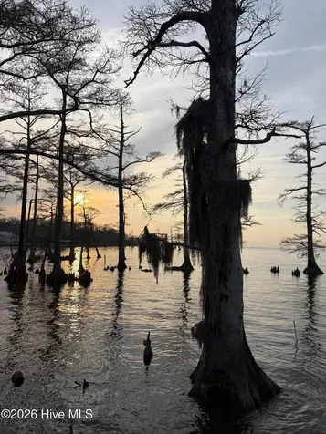 380 Beech Bay Road Roper NC 27970