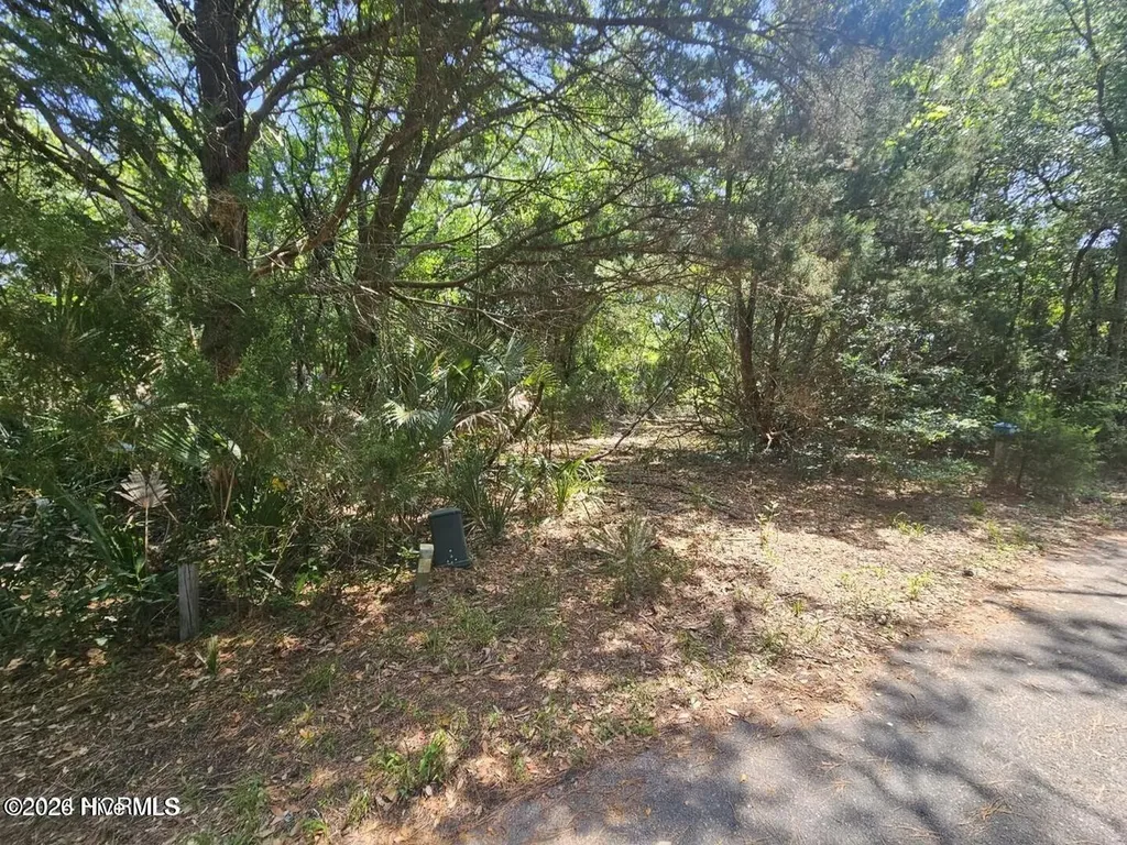 27 Dogwood Trail Bald Head Island NC 28461
