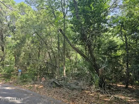 27 Dogwood Trail Bald Head Island NC 28461