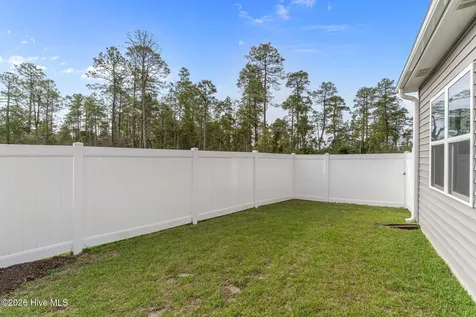 4293 Coralbead Lane Leland NC 28451