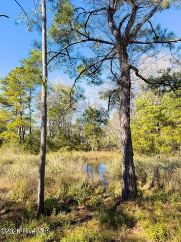 1907 Redfish Run SW Supply NC 28462