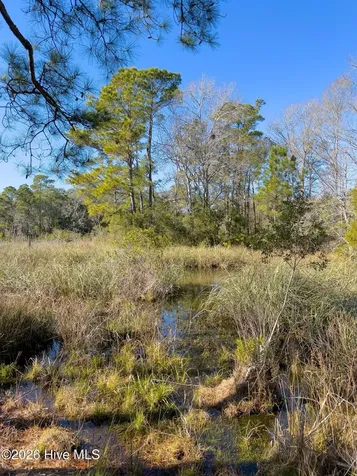 1907 Redfish Run SW Supply NC 28462