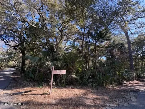 2 Gray Fox Court Bald Head Island NC 28461