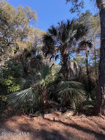 2 Gray Fox Court Bald Head Island NC 28461