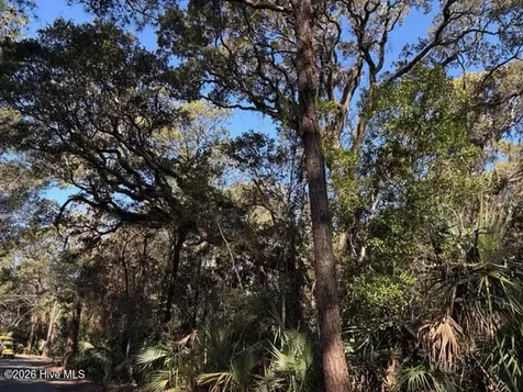 2 Gray Fox Court Bald Head Island NC 28461