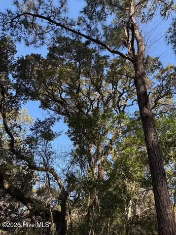 2 Gray Fox Court Bald Head Island NC 28461
