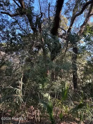 2 Gray Fox Court Bald Head Island NC 28461