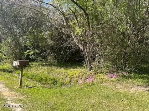 408 Mill Quarters Road Hallsboro NC 28442