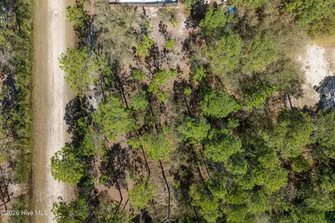 L 12 Rockingham Road Boiling Spring Lakes NC 28461