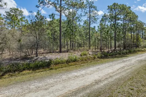 L 13 Rockingham Road Boiling Spring Lakes NC 28461
