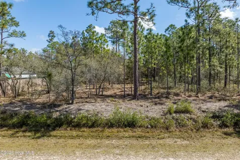 L 13 Rockingham Road Boiling Spring Lakes NC 28461