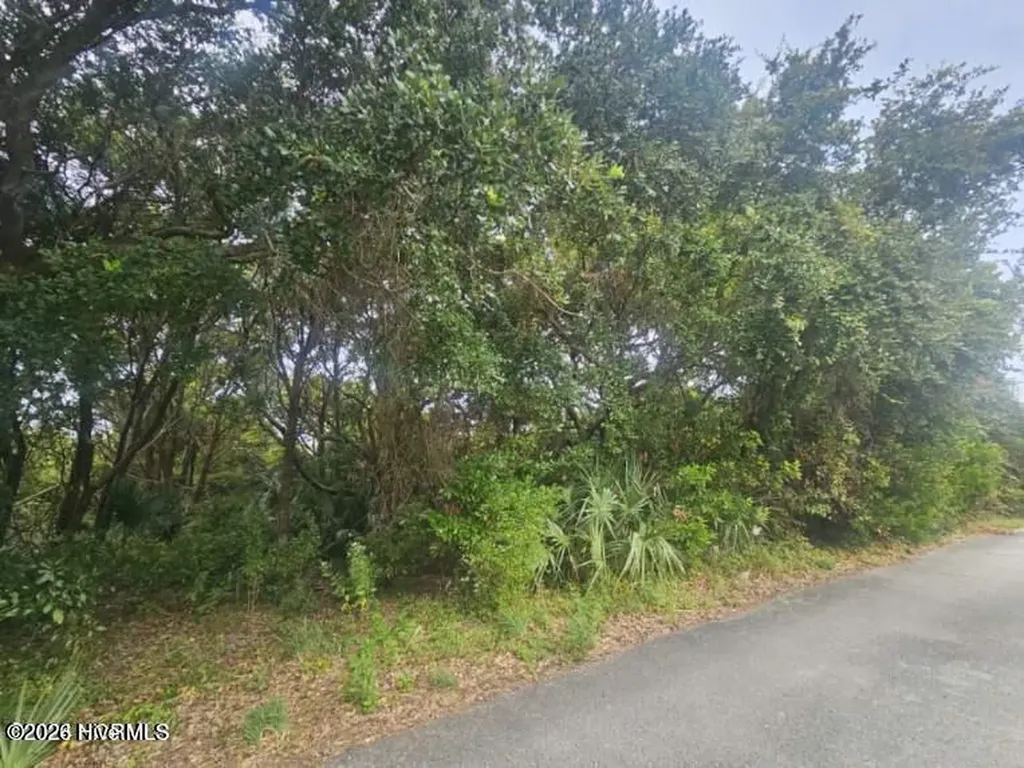 11 Royal Tern Court Bald Head Island NC 28461