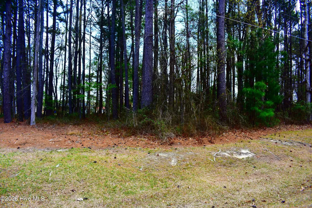 6712 Wood Avenue Saratoga NC 27873