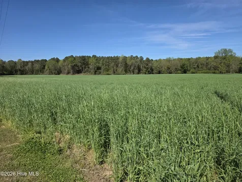 0 N Nc 111 And 903 Highway Albertson NC 28508