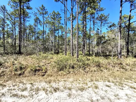 Lot 550 Crescent Road Boiling Spring Lakes NC 28461