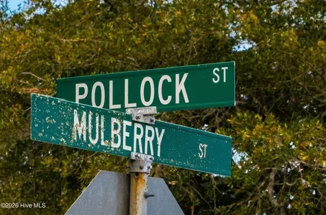 Lot 9867 Pollock Street Beaufort NC 28516