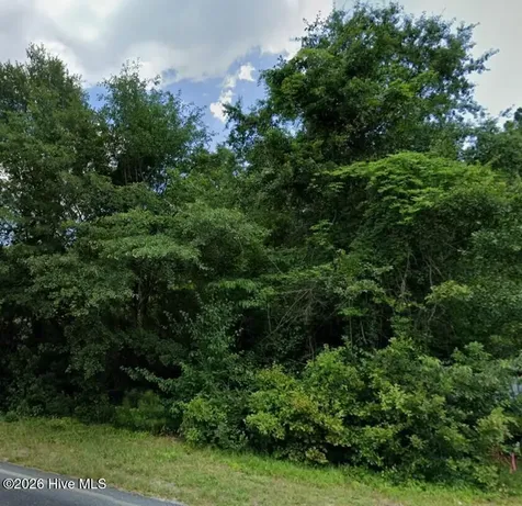 Lot 6 St Johns Church Road Laurel Hill NC 28351