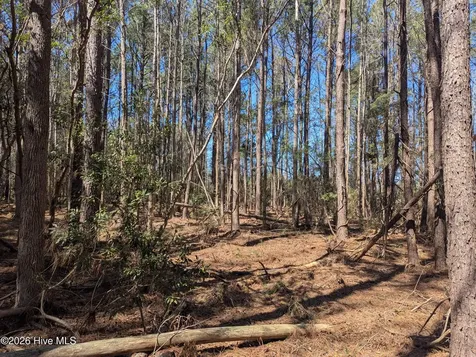 0 Our Beaufort NC 28516