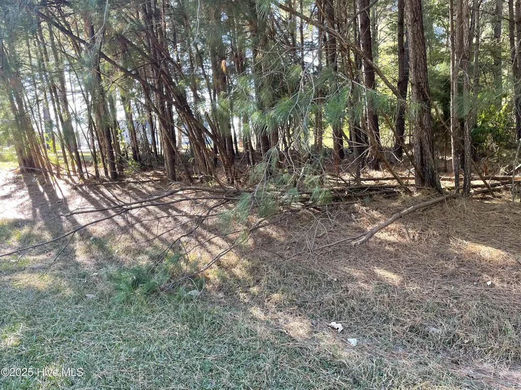 Lot 10 Bethel Creek Lane Hertford NC 27944