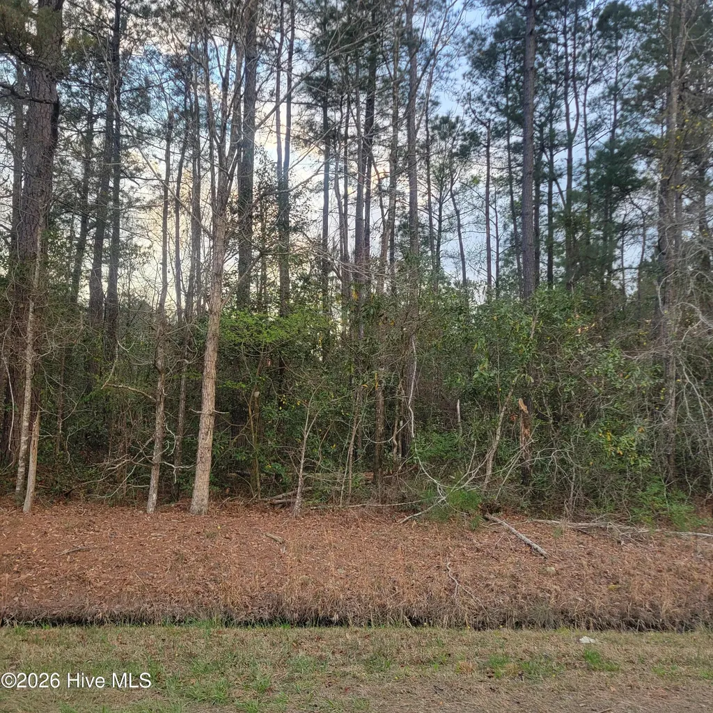 Tract 8 Fennell Town Road Rocky Point NC 28457