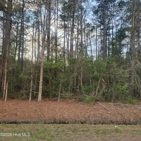 Tract 8 Fennell Town Road Rocky Point NC 28457