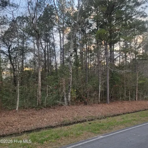 Tract 8 Fennell Town Road Rocky Point NC 28457