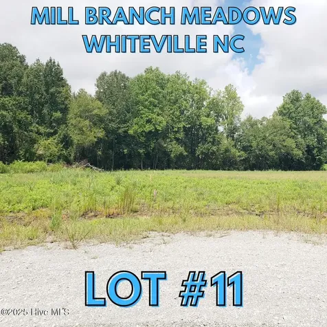 112 Mill Branch Drive Whiteville NC 28472