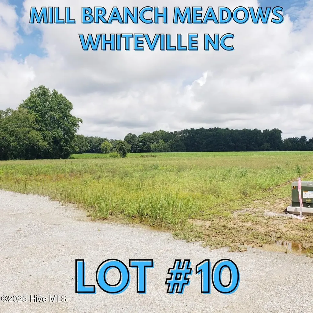 104 Mill Branch Drive Whiteville NC 28472