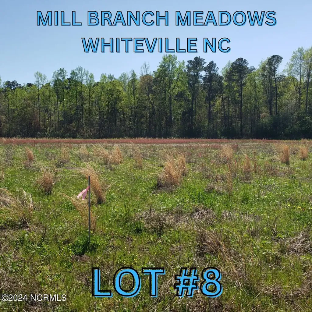 97 Mill Branch Drive Whiteville NC 28472