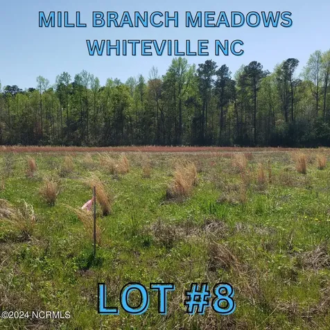 97 Mill Branch Drive Whiteville NC 28472