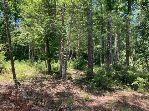 76 Hughes Road Hampstead NC 28443