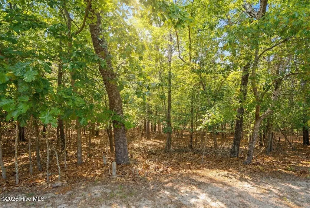 172 James Drive Seven Lakes NC 27376