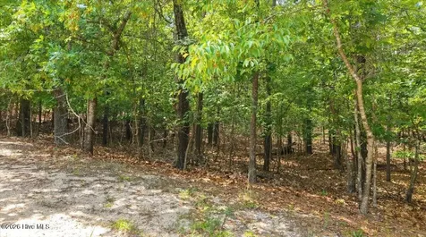 172 James Drive Seven Lakes NC 27376
