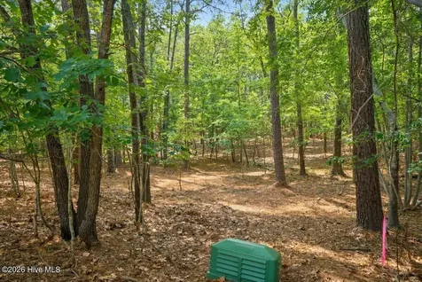 172 James Drive Seven Lakes NC 27376